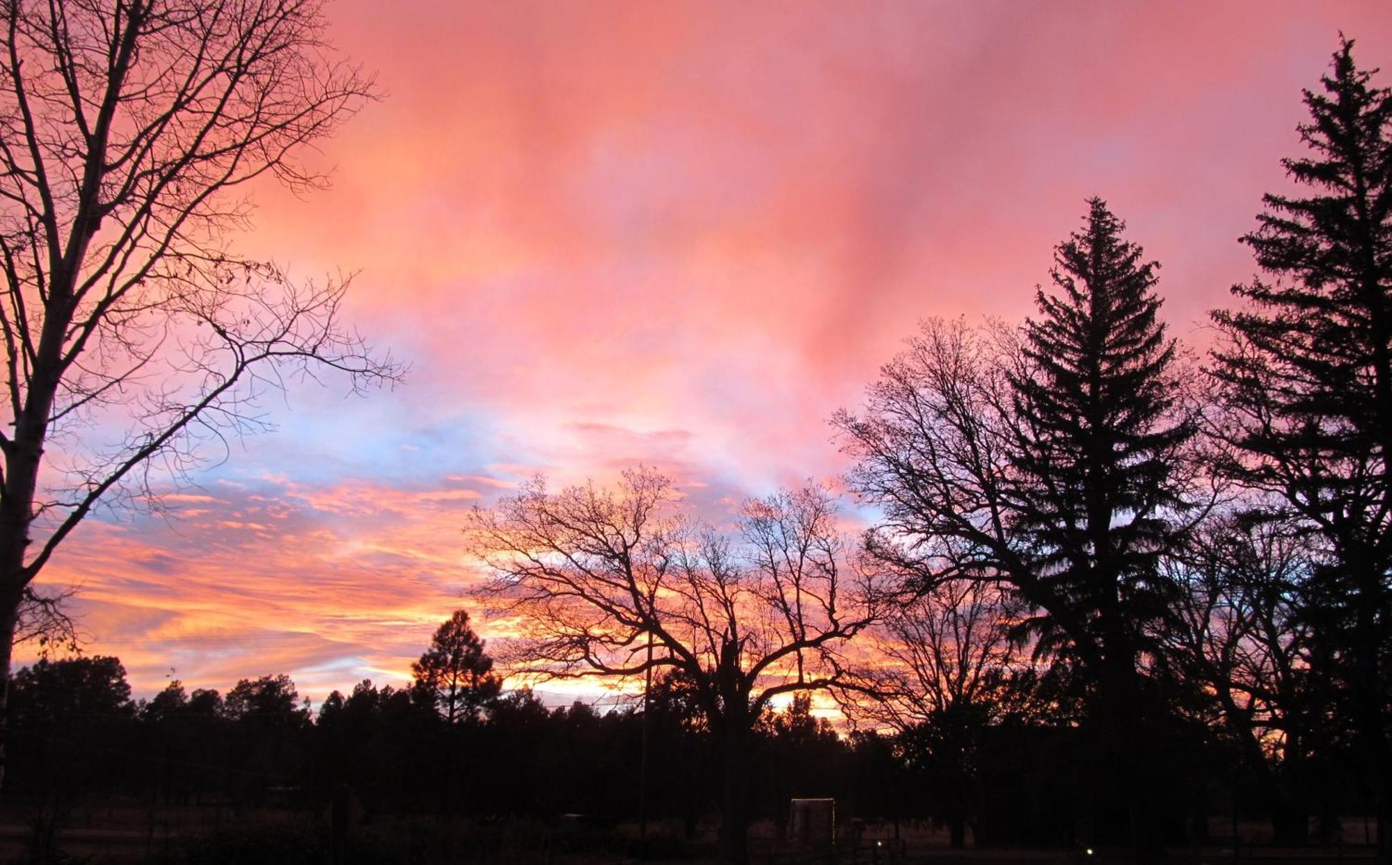 Lazy Oaks Resort Pinetop-Lakeside Exterior foto